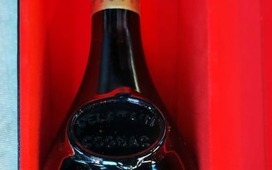 Delamain Tres Vieux Cognac de Grande Champagne, Original Certificate #15870 Exceptional Delamain