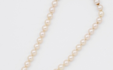 Elégant collier de perles des mers du Sud en or jaune, taille 585. Collier d'une...