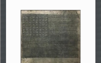 Jasper Johns Flag with 64 Stars Custom Framed Print