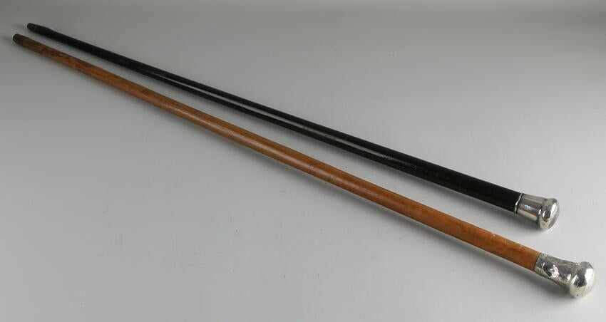 Two wooden walking sticks with silver button, Light