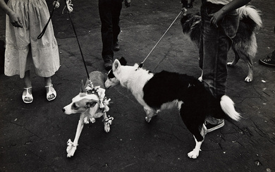 W. EUGENE SMITH (1918-1978) Two dogs at pet show. Silver print, the image...