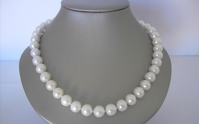 14 kt. South sea pearls, Yellow gold, 10-12 mm - Necklace