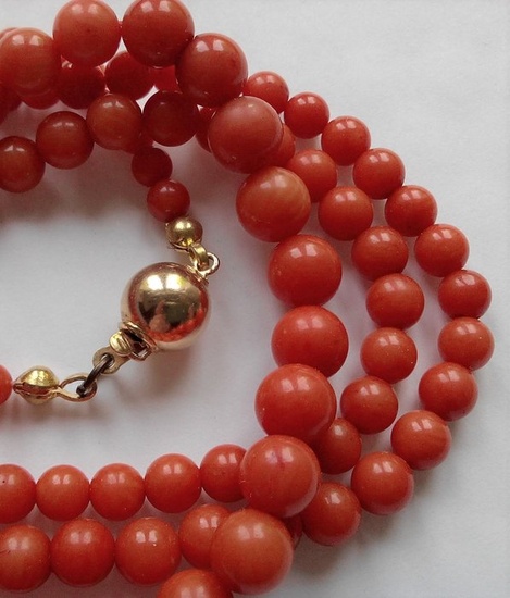 14 kt. Yellow gold - Necklace Blood Coral