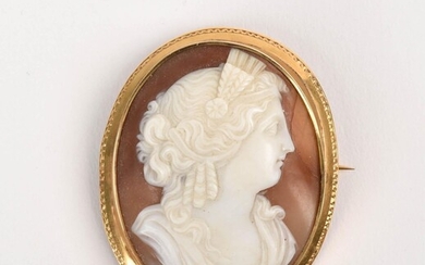 14K Gold and Shell Cameo Pin