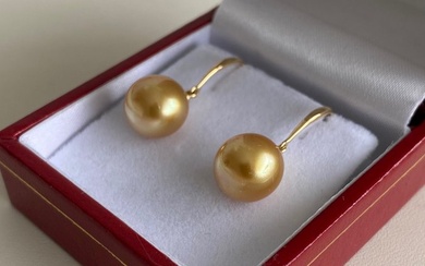 18 kt. Gold - Earring, Earrings Golden South Sea Pearl