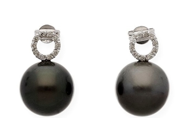 18 kt. South sea pearl, White gold - Earrings - 0.30 ct Diamond