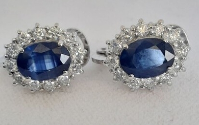 18 kt. White gold - Earrings Sapphire - Diamonds