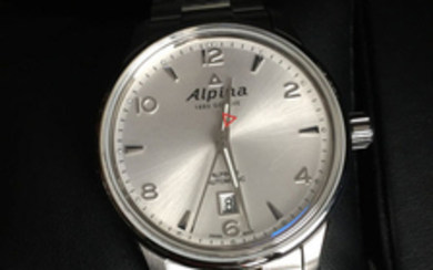 Alpina - Alpiner - Unisex - 2011-present