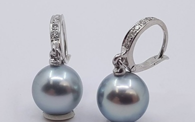 9x10mm Silvery Tahitian Pearl Drops - 0.09Ct - Earrings White gold