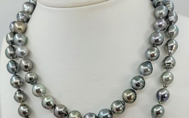 9x11mm Multi - 925 Silver, Tahitian pearls - Necklace