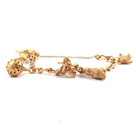 A 9 carat gold curb link charm bracelet with five charms