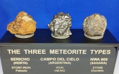 Amazing METEORITE COLLECTION. Sky Field (Iron) / Sericho (Pallasite) / NWA 869 (Chondrite). GIFT STAND. - 73 g