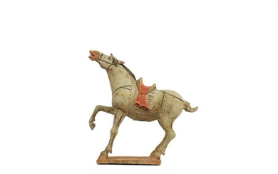 Ancient Chinese, Tang Dynasty Terracotta An Exceptional Buff Pottery Figure of a Prancing Horse, Tl test - 34×34×15 cm
