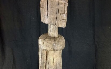 Figure (1) - Wood - Africa
