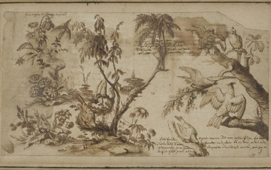 French School, 18th century- Various studies of plants and birds; pen and brown ink on laid paper, variously inscribed, 13.2 x 24.8 cm. Provenance: The estate of the late designer Anthony Powell.
