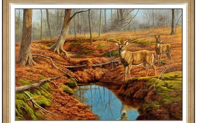 Judy Gibson Large Oil Painting On Canvas Signed Original Wildlife Deer Artwork