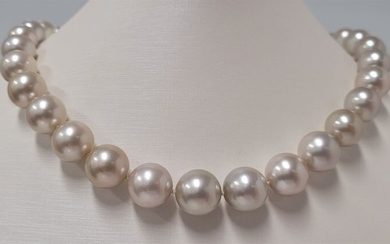 NO RESERVE - 10.3x13.5mm Round Australian South Sea Pearls - 14 kt. White gold - Necklace