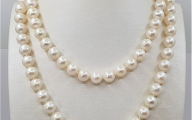 No Reserve Price - Necklace 10x11mm Round White Edison Freshwater pearls