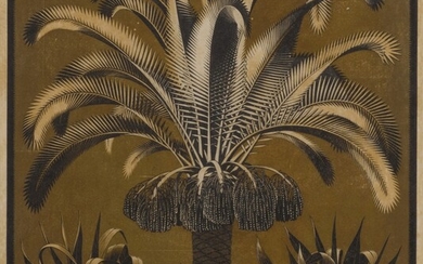 Palm (Bool/Kist/Locher/Wierda 223), M. C. Escher