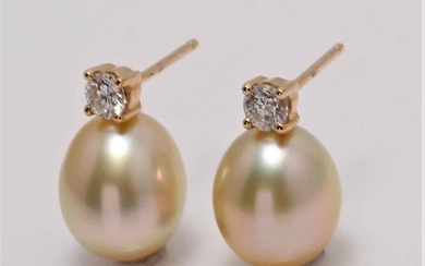United Pearl - 14 kt. Yellow Gold - 8x9mm Golden South Sea Pearl Drops - Earrings - 0.25 ct