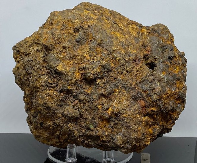 Lot-Art | Auctions | Meteorites