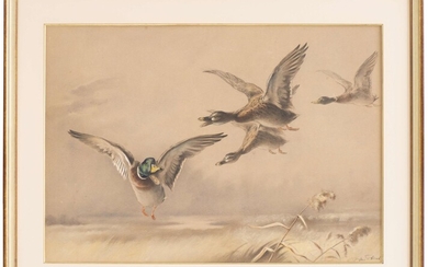 Xavier de PORET (1894 - 1975), "Quatre canards en vol", dessin