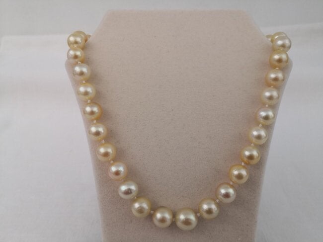 10-14 mm Round Shape, Golden South Sea Pearls