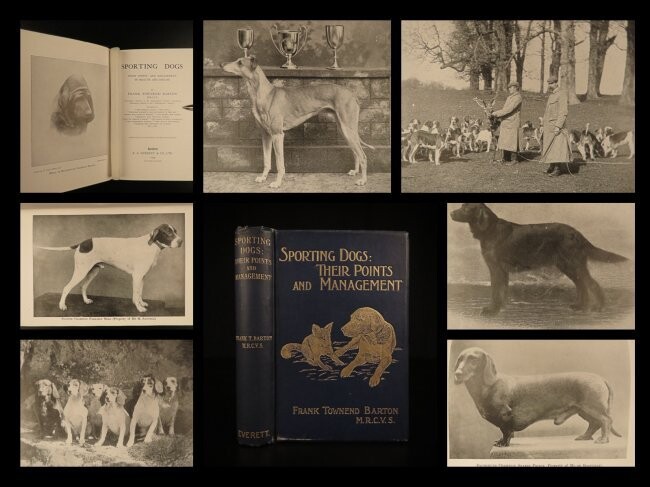 1905 1ed Sporting DOGS Hunting Domestic Pets Animal