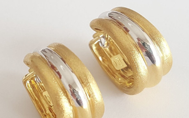 14.4 gr- 18 kt. White gold, Yellow gold - Earrings