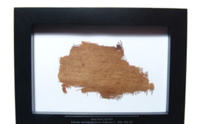 A framed swatch of Egyptian mummy linen