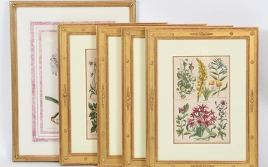 Five Framed Botanical Prints