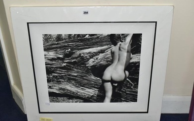 JOHN SWANNELL (BRITISH 1946) 'NAKED LANDSCAPE, PLATE 43' a...