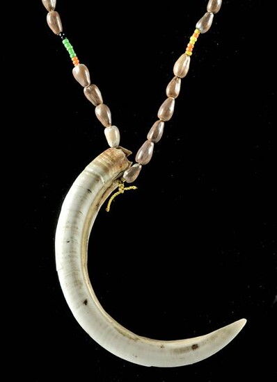 Lot of Two 20th C. Naga Beaded Boar Tusk Necklaces