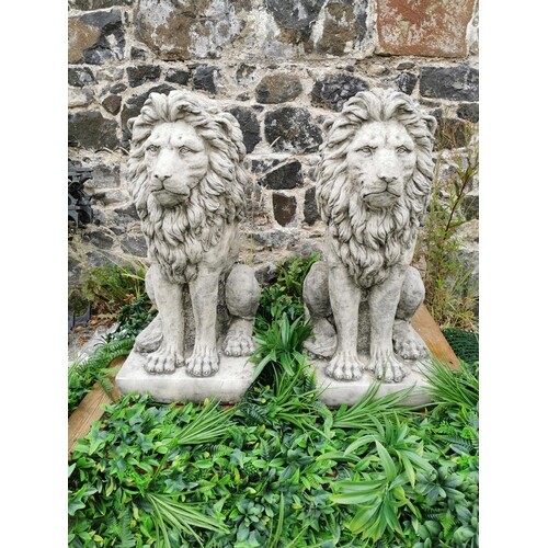 Pair of moulded stone seated Lions {85 cm H x 42 cm W x 50 c...