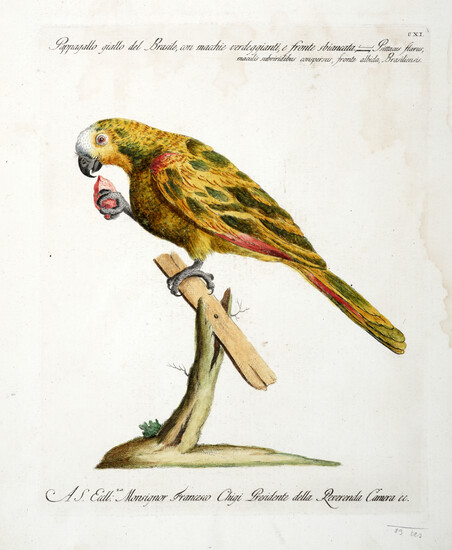 Saverio Manetti (Brozzi, 1723 - Firenze, 1784), Lotto composto di 2 tavole ornitologiche. 1767-1776.