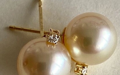 18 kt. Gold - Earrings - Diamonds, Golden South Sea Pearls 9.5-10mm