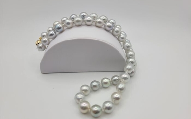8.8-9.8 mm - 18 kt. Gold - Necklace - South Sea Pearls