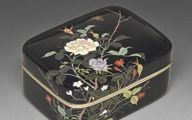 A Japanese cloisonne enamel box and cover, Meiji period, ena...