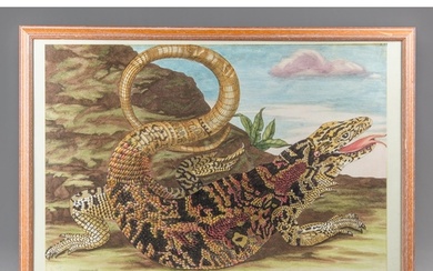 A LARGE MID/LATE 20TH CENTURY NATURAL HISTORY PRINT OF AN AR...