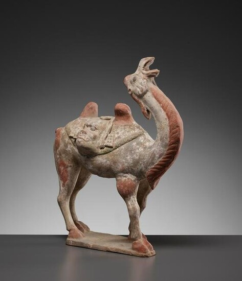 A PAINTED POTTERY FIGURE OF A BACTRIAN CAMEL, TANG