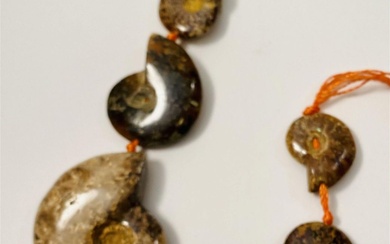Ammonite fossil drilled beads