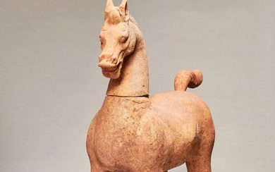 Ancient Chinese, Han dynasty Terracotta Ancient Chinese, Han Dynasty Terracotta Gigantic Horse - Sichuan.. TL Tested. - 100×30×80 cm - 100 cm