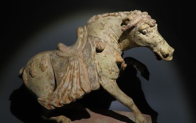 Ancient Chinese Pottery Fabulous Horse. Tang Dynasty, 618 - 907 AD. 38 cm L. Intact. TL test