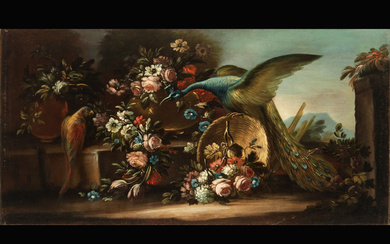 Italian still life of Flowers and Peacock, 18th century Italian...