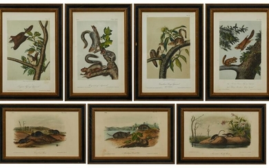 John James Audubon (1785-1851), "Migratory Squirrel,"