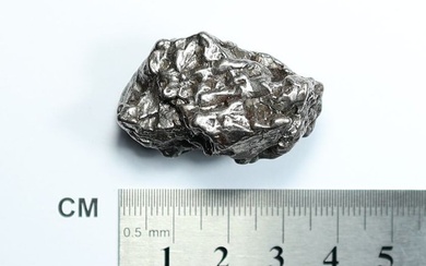 Meteorite Campo del Cielo coarse iron octahedrite, type IAB - 54.12 g - (1)