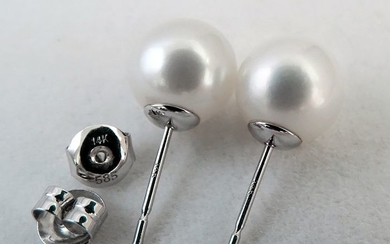 NO RESERVE PRICE - South sea pearls, Top Grade 10 mm - Earrings, 14 kt. White Gold