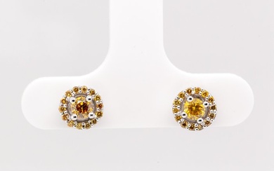 No Reserve Price - 0.42 tcw - Fancy Vivid to Deep Mix Yellow - 14 kt. White gold - Earrings Diamond