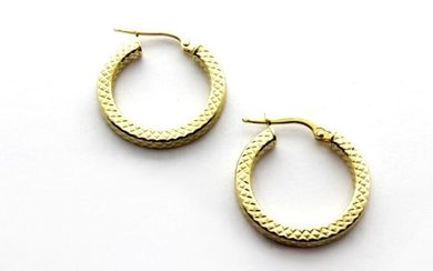 No Reserve Price - 18 kt. Gold, Yellow gold - Earring