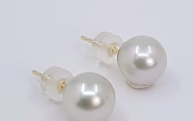 No Reserve Price - 8x8.5mm Light Silvery Akoya Pearls Earrings - Yellow gold